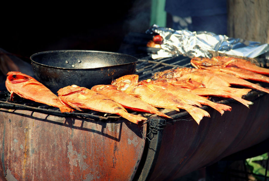 Несколько раз видел как местные жители устраивают пикники.  Главное угощение — вкусная рыба. Остров Пасхи, Чили