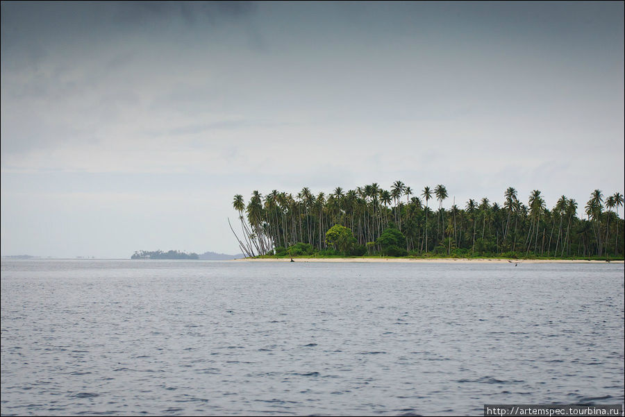 Возвышенности есть только на нескольких островах архипелага, поэтому большинство островов выглядит одинаково: стройный лес пальм, белая полоска  пляжа — и никого кругом. Суматра, Индонезия
