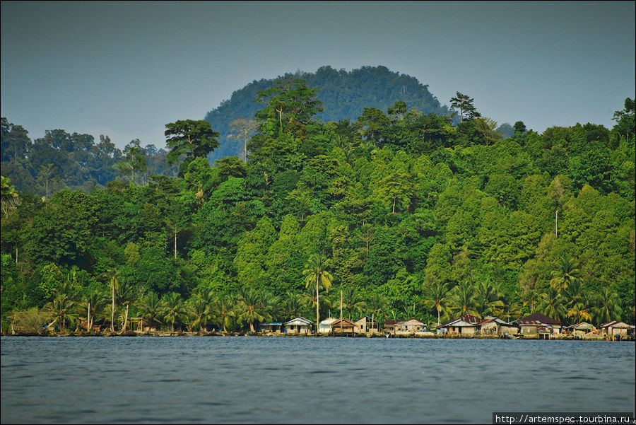Тем временем, мы подплыли к деревне Халобан — одному из крупнейших населенных пунктов архипелага Баньяк. Суматра, Индонезия