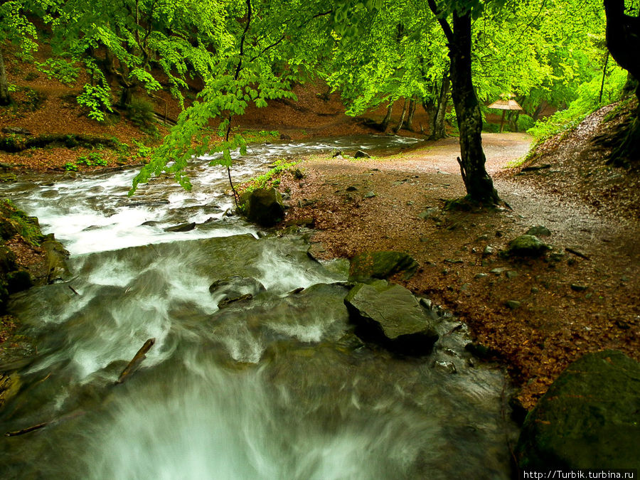 Шёпот водопада Шипот или вопреки ожиданиям Межгорье, Украина