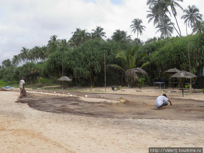 Подготовка сетей на завтра Подготовка сетей на завтра