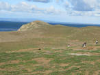 Общий вид на остров  и на Магелланов пролив от маяка. Видите эти мелкие белые точки — это все пигвины