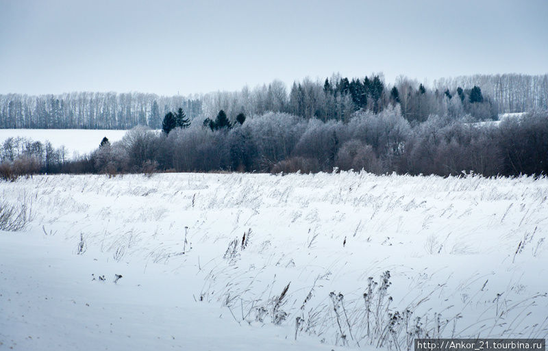 Моя Рождественская история Кировская область, Россия Моя Рождественская история Кировская область, Россия