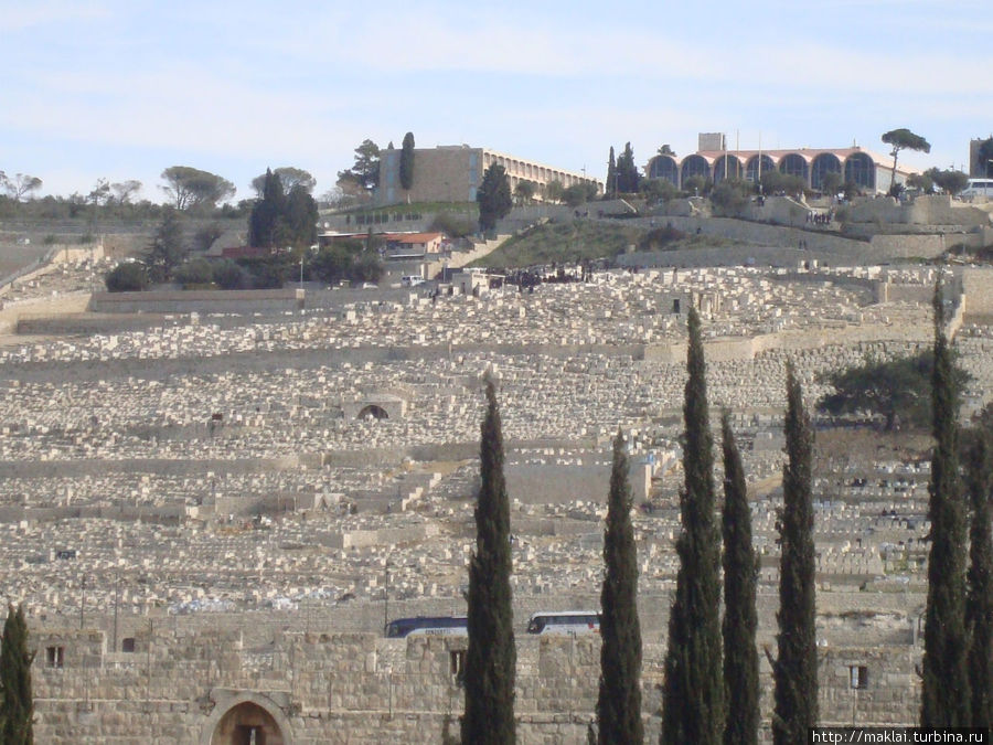 Иосафатова долина. Еврейское кладбище Иерусалим, Израиль
