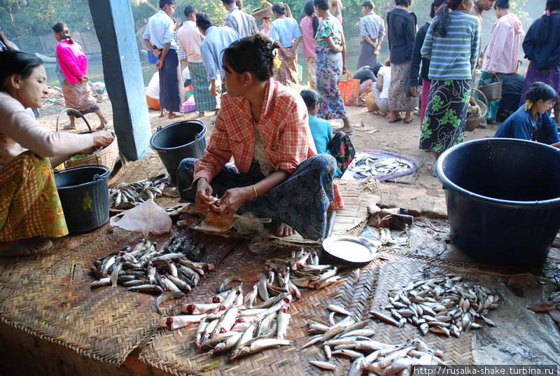 Рыбный рынок на реке Мраук-У, Мьянма