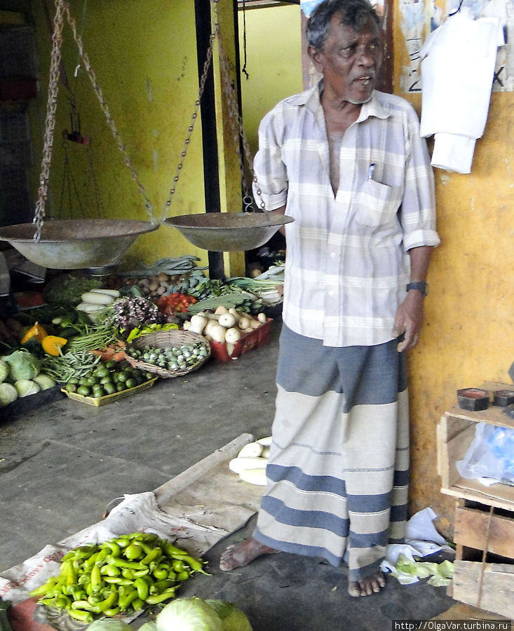 Весы на цепочке Тринкомали, Шри-Ланка