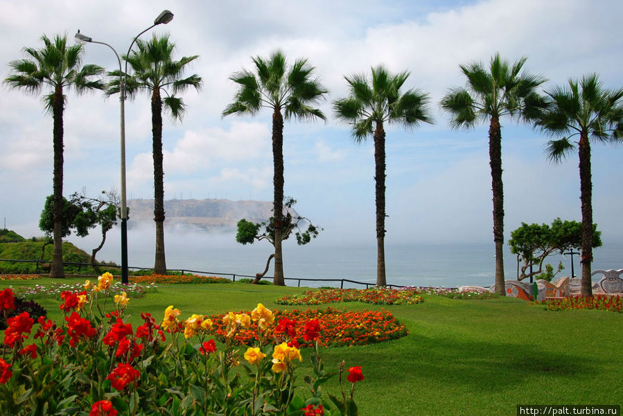 Из парка открывается восхитительный вид на океан. Правда, в этих местах часты туманы. Но они даже придают определенный шарм. Лима, Перу Из парка открывается восхитительный вид на океан. Правда, в этих местах часты туманы. Но они даже придают определенный шарм. Лима, Перу