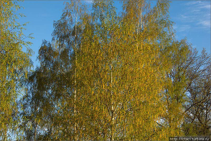 Река Киржач, Владимирский край Река Киржач, Владимирский край