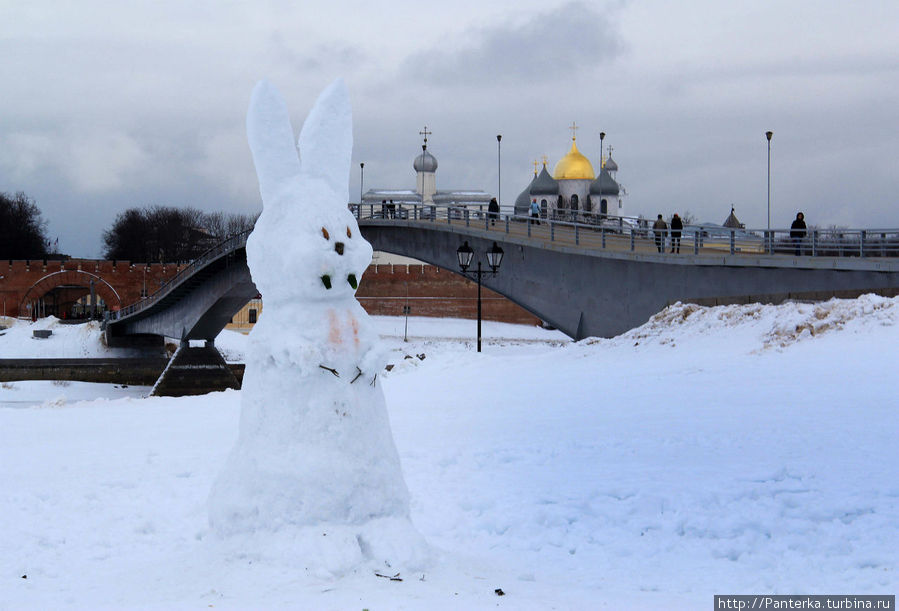 Вот такие они, новгородские медве.... простите, зайки! Вот такие они, новгородские медве.... простите, зайки!