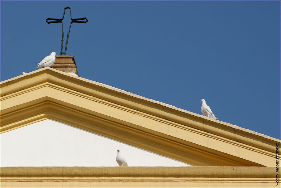 Снимали они белых голубей на крыше часовни Макао