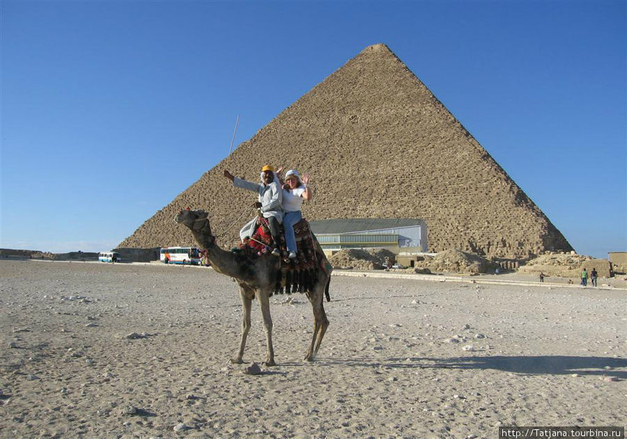 Пирамиды, верблюды  и ...Большой Сфинкс