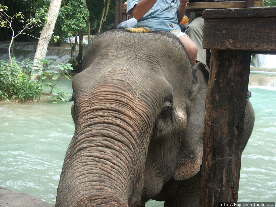 Слоны и русалки Луанг-Прабанг, Лаос