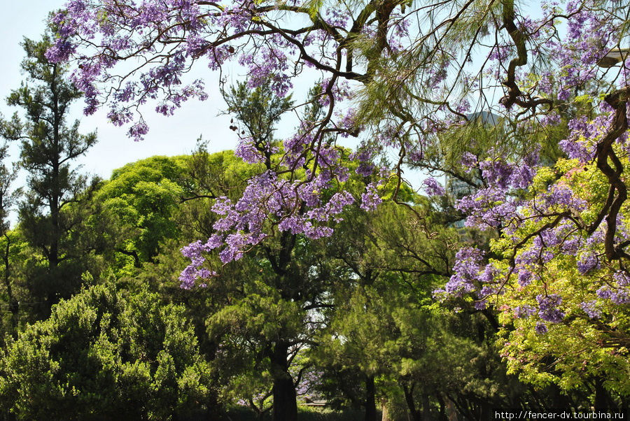 Японский сад по-аргентински Буэнос-Айрес, Аргентина