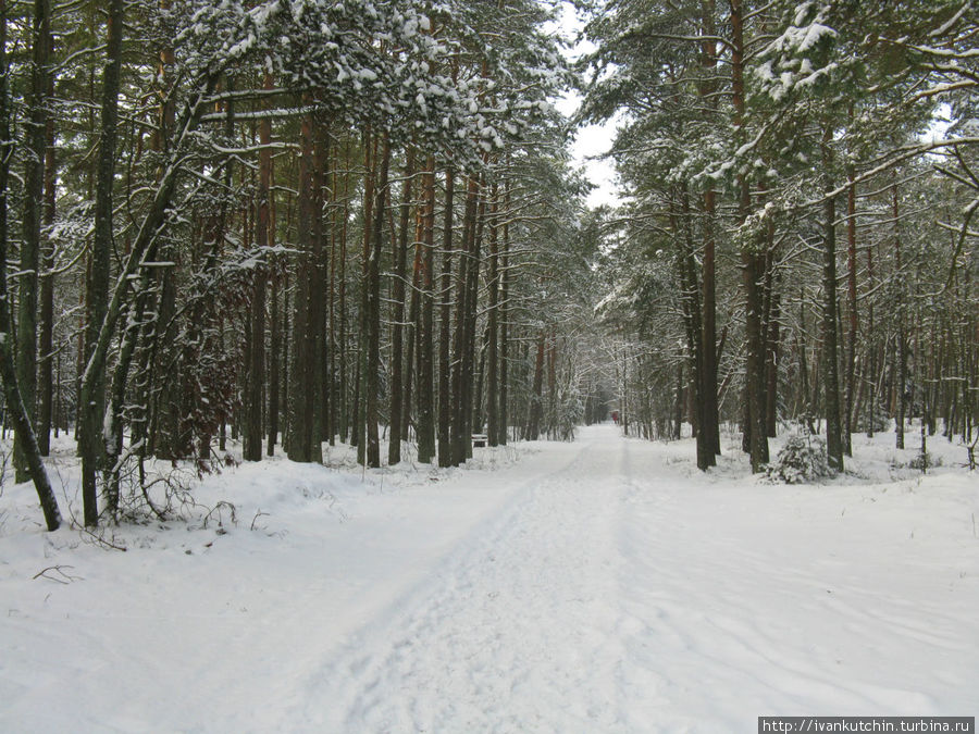 Пешеходные тропы Пешеходные тропы