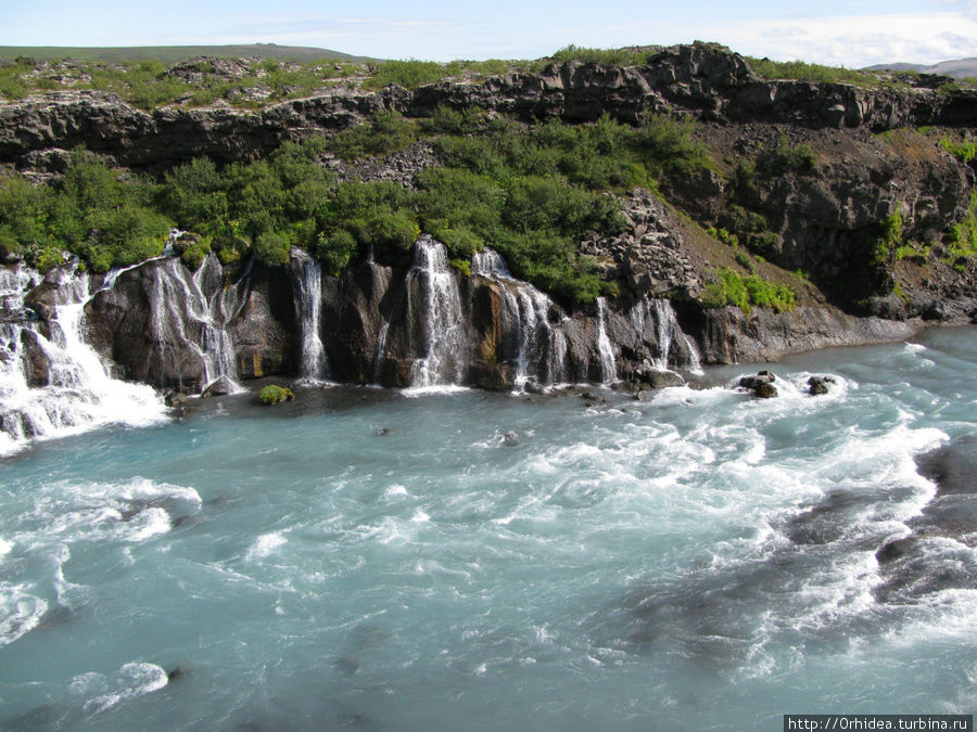 Hraunfossar, здесь струи вытекают прямо из горы, прямо подземные реки Исландия