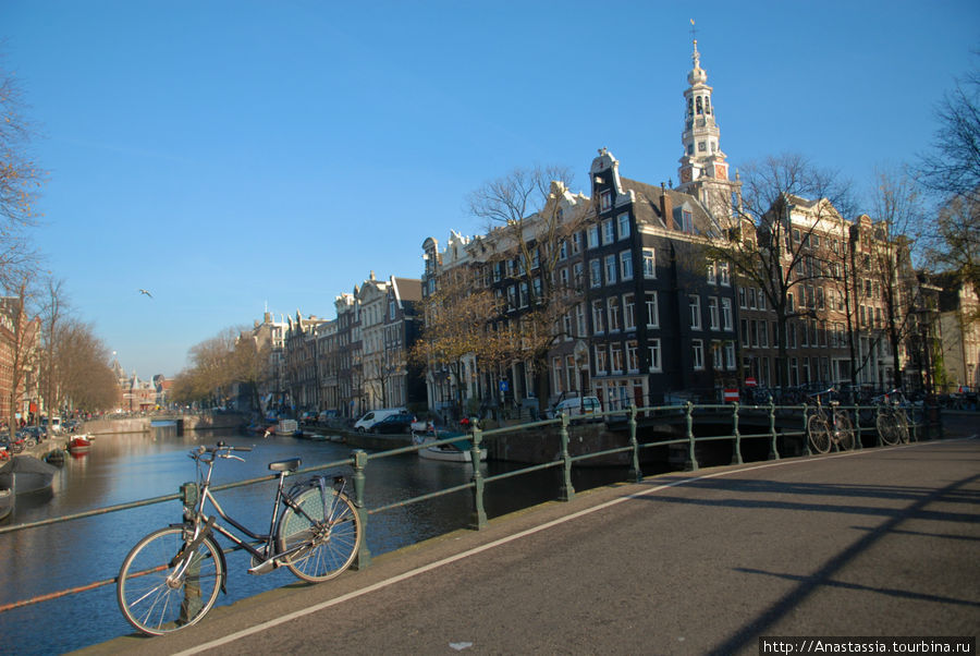 Новости из Амстердама или 