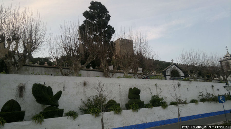 кладбище у стен города Обидуш, Португалия