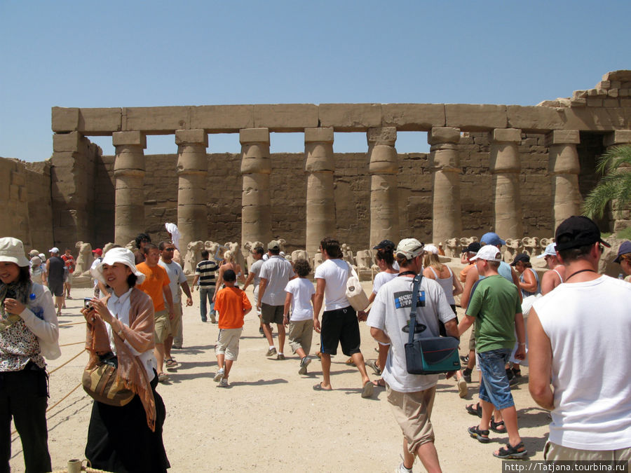Луксорский храм / Luxor Temple