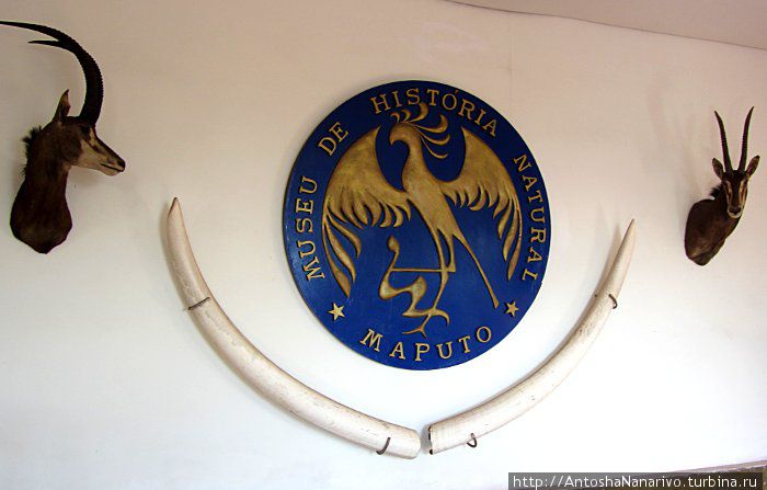 Мапуту культурный Мапуту, Мозамбик Мапуту культурный Мапуту, Мозамбик