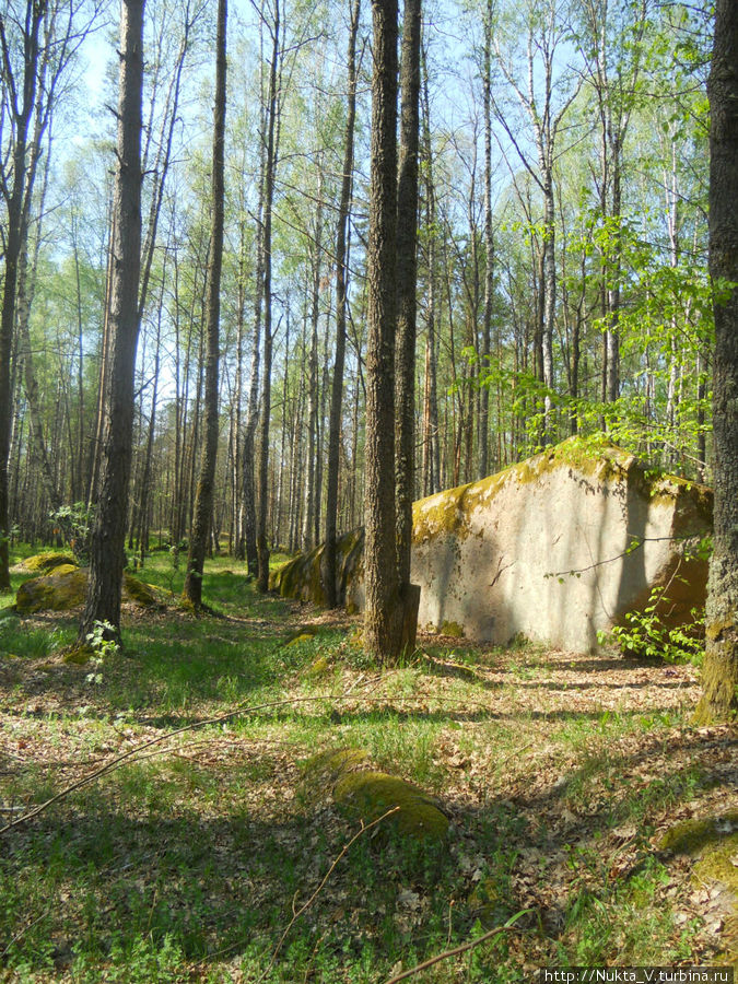 Каменное село геологический парк Рудня-Замысловичская, Украина