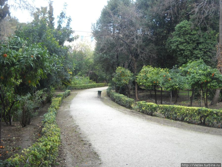 Новый поворот Афины, Греция Новый поворот Афины, Греция