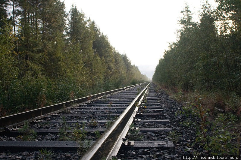 От Лоухов в сторону Пяозерского идёт ветка железной дороги, но пассажирского сообщения на ней нет. Паанаярви Национальный Парк, Россия