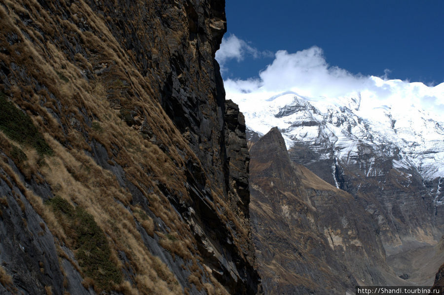 Путь к леднику Зона Дхавалагири, Непал