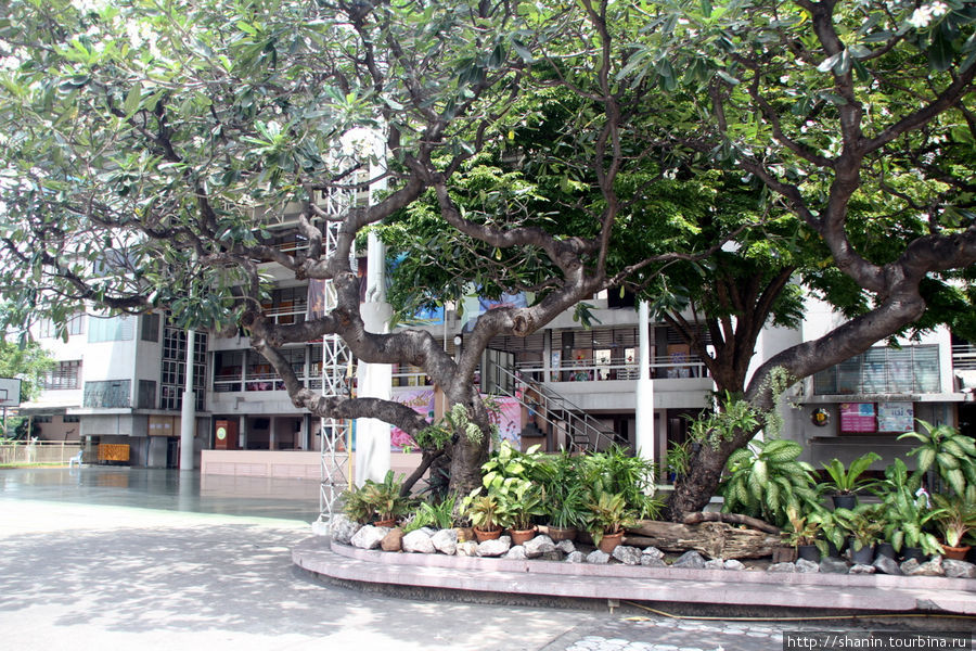 Школа у церкви Голгофы Бангкок, Таиланд