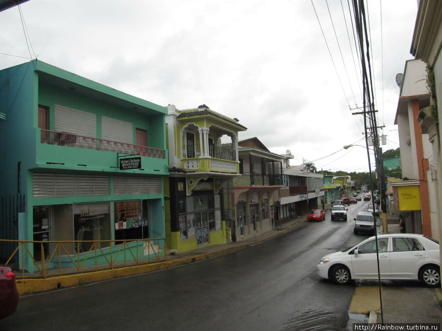 Разноцветие Карибской провинции Лахас, Пуэрто-Рико