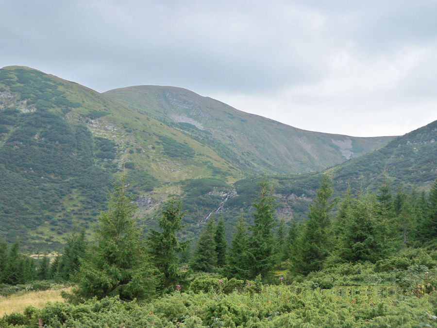 Красота!!! Красота!!!