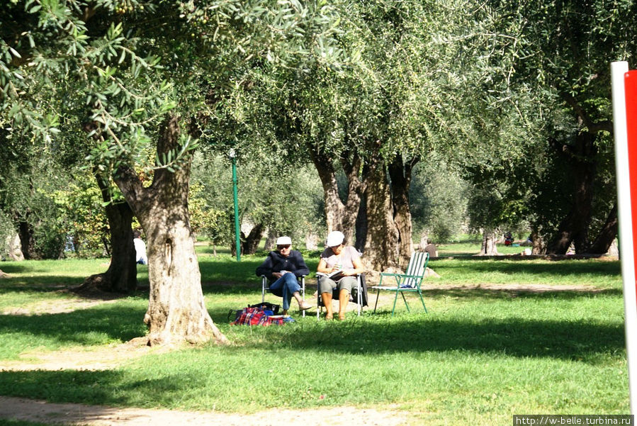 В тени олив отдыхают люди. Кань-сюр-Мер, Франция