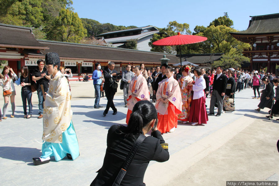 Случайно стал свидетелем свадебного шествия. Дадзайфу, Япония