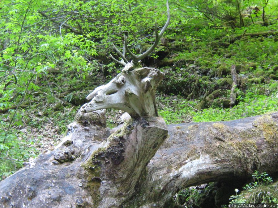 Деревянный лось Гармиш-Партенкирхен, Германия