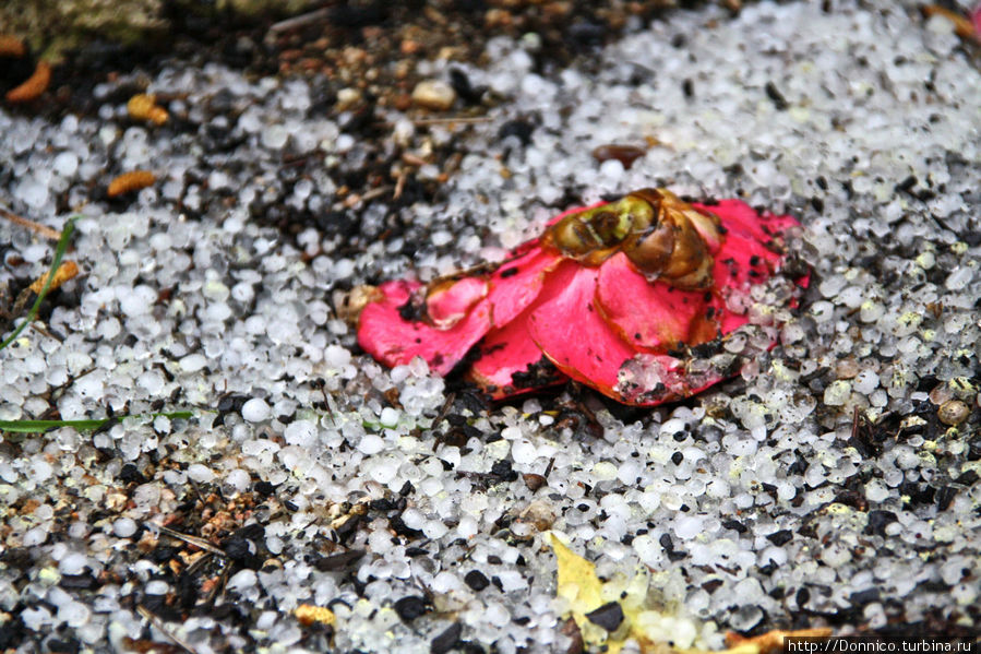 Люблю грозу в начале марта... Паламос, Испания Люблю грозу в начале марта... Паламос, Испания
