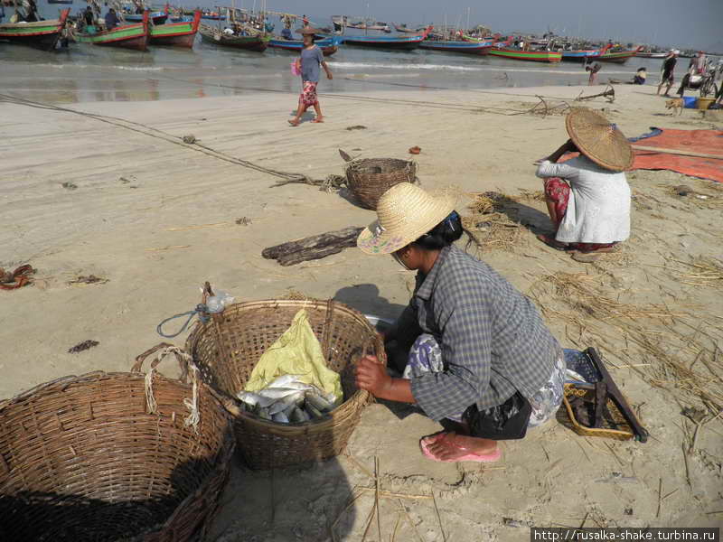 Рыбацкая деревушка. Сушка рыбы Нгапали, Мьянма
