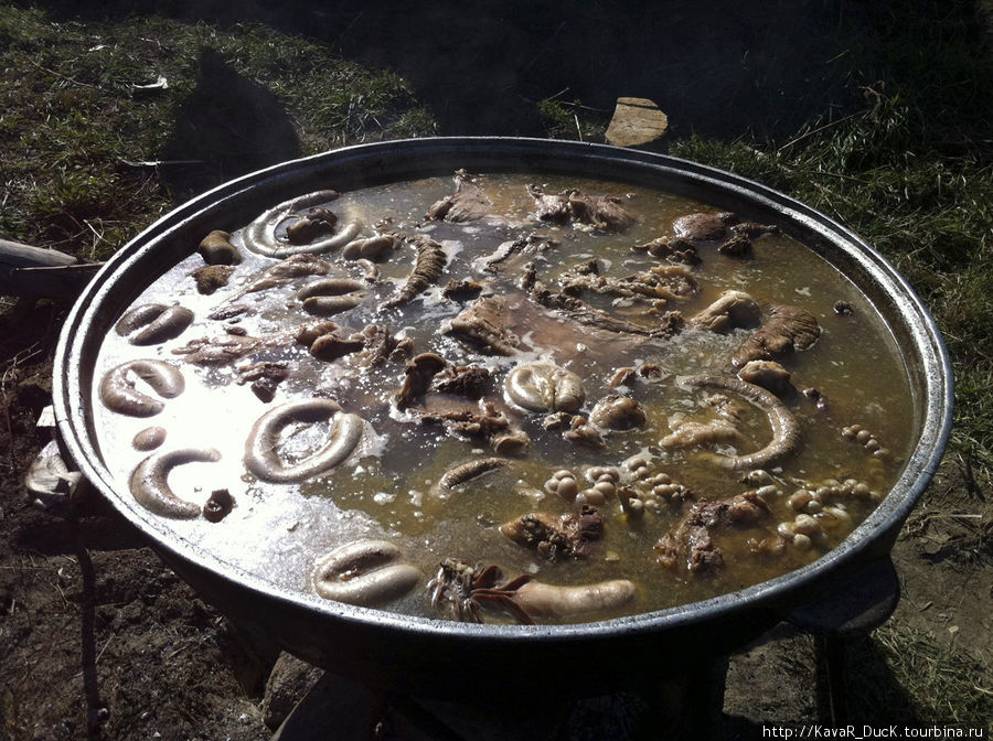 в большом казане варится половина жеребёнка: на вид не очень зрелище, но очень вкусно!) Киргизия