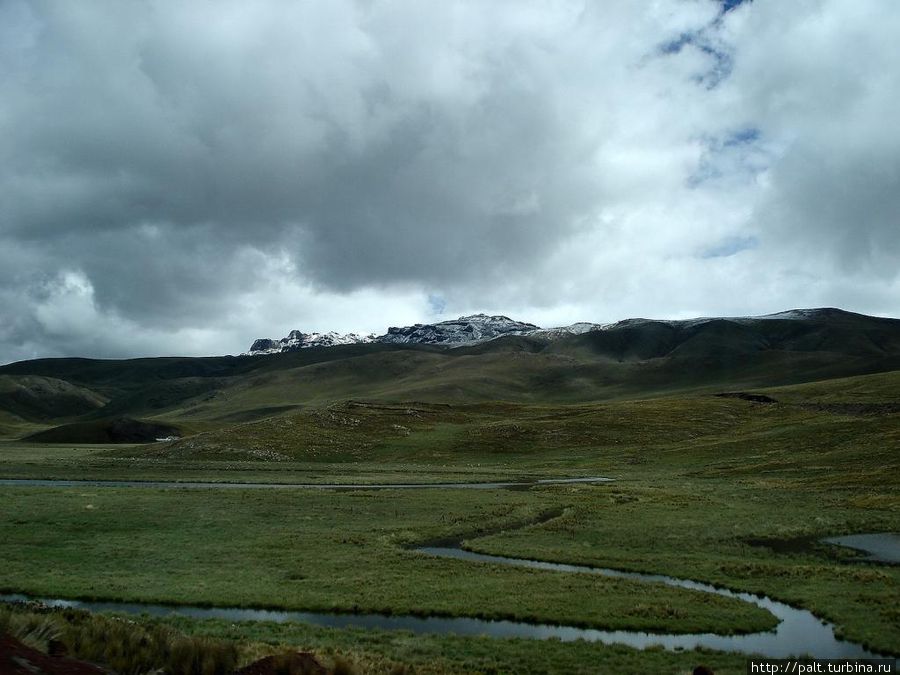 Альтиплано в сезон дождей Альтиплано в сезон дождей