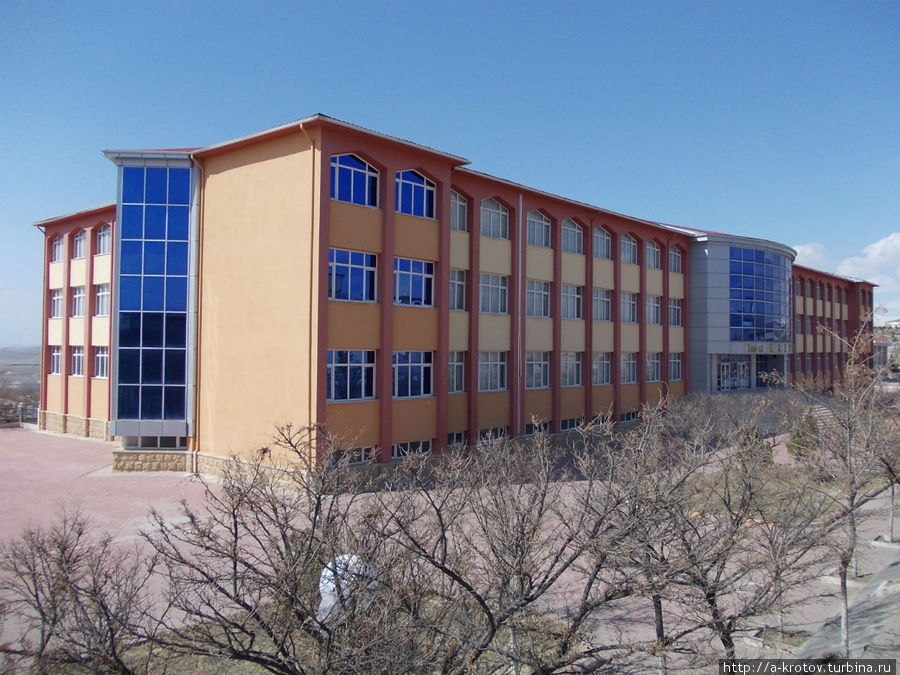 Школа Школа