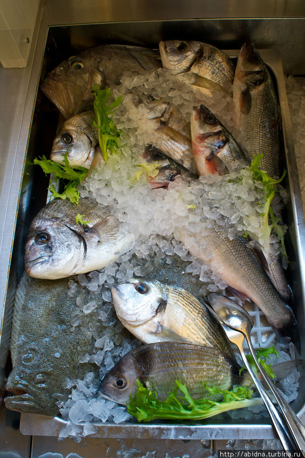 Четверг — рыбный день!.. Трани, Италия