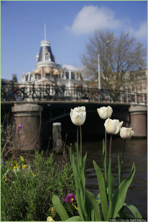 Апрельский Амстердам Амстердам, Нидерланды