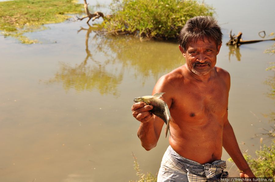 Поди малюва! Маленькая рыбка! — смущенно показывает свой скромный улов рыбак, а мы машем ему на прощание. Наша прогулка удалась на все 100! Шри-Ланка