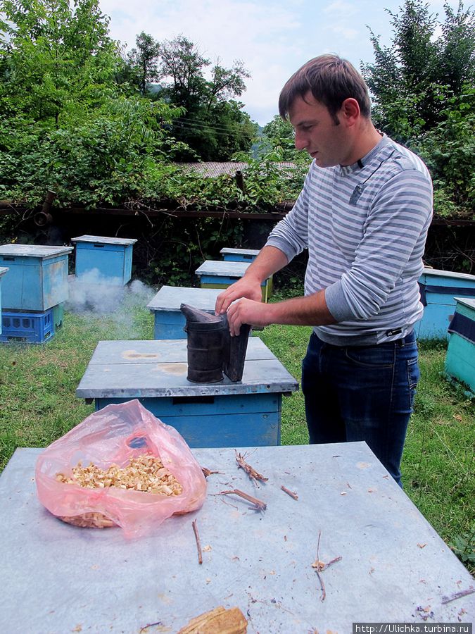 Немножко о пчеловодстве в Грузии Грузия Немножко о пчеловодстве в Грузии Грузия