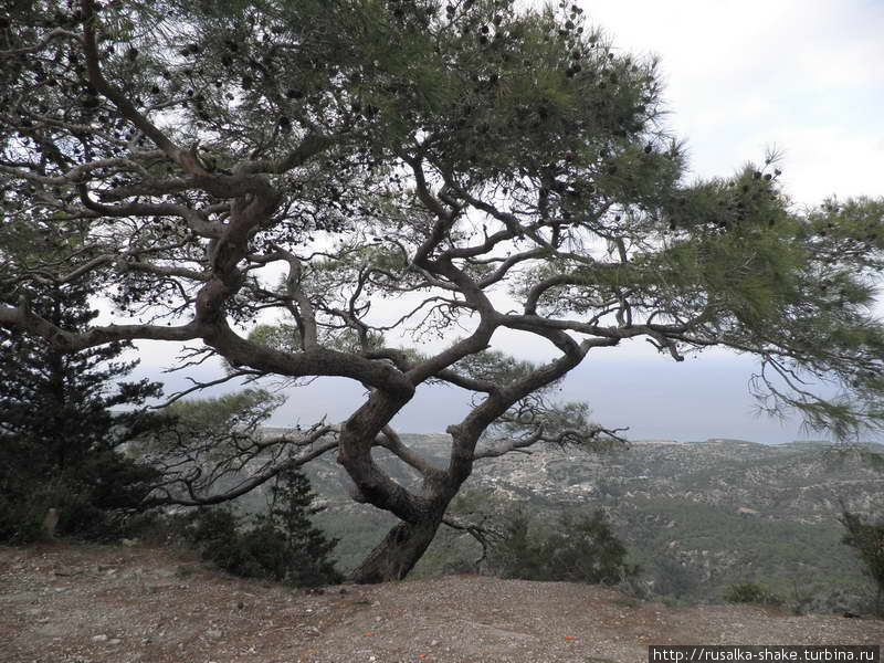Киренийские горы Лапитос, Турецкая Республика Северного Кипра