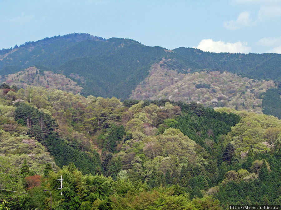 Виды на окрестные горы Накацугава, Япония