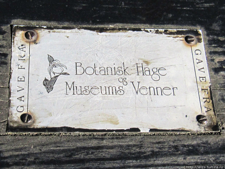 Ботанический сад Осло Осло, Норвегия Ботанический сад Осло Осло, Норвегия