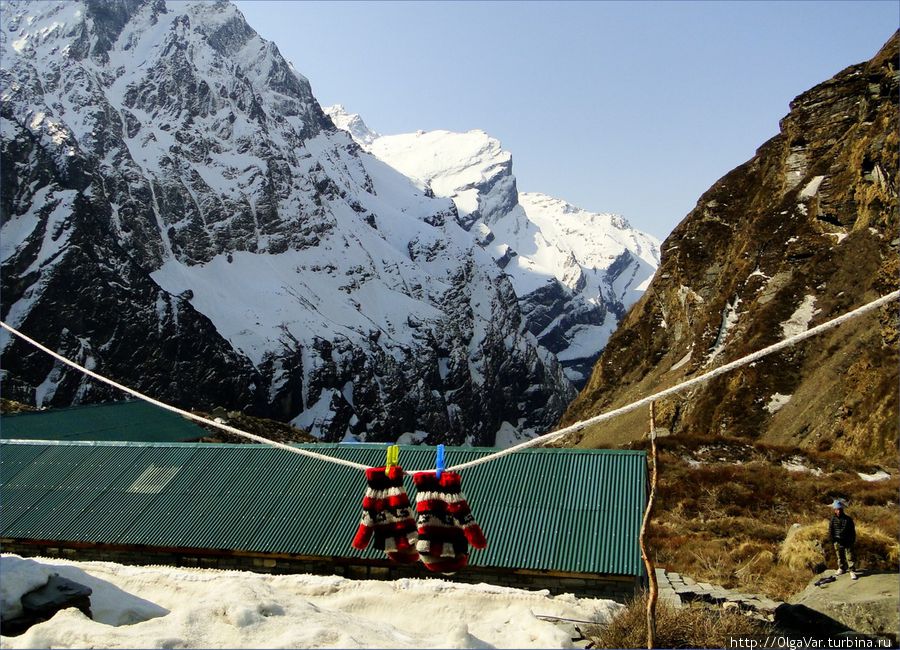 Базовый лагерь Мачхапучхре (Machhapuchhre Base Camp, 3 700 м). Национальный парк Аннапурны, Непал