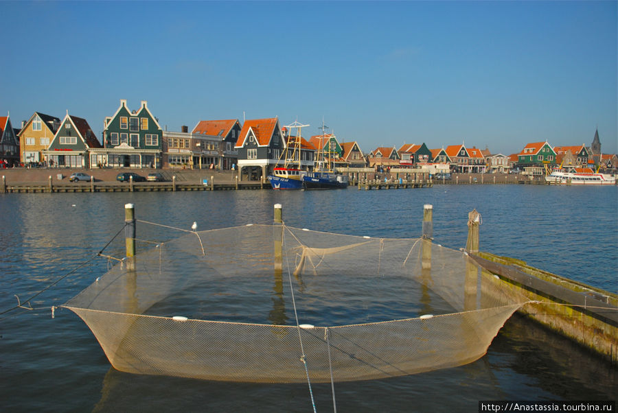Здесь продают молодую селедку и гуляют по набережной Волендам, Нидерланды