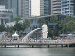 Этот морской лев является символом Сингапура