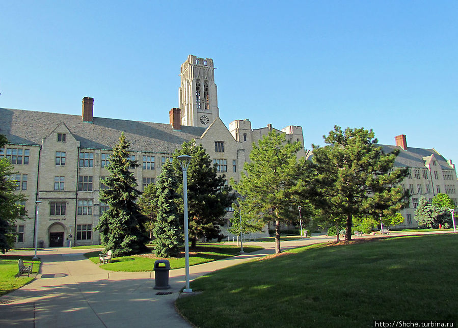 University of Toledo — один из крупнейших университетов США Толидо, CША