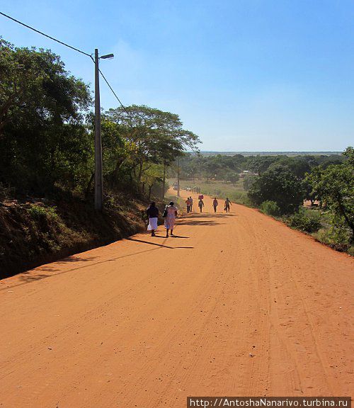 Шапа под звёздным небом Провинция Мапуту, Мозамбик